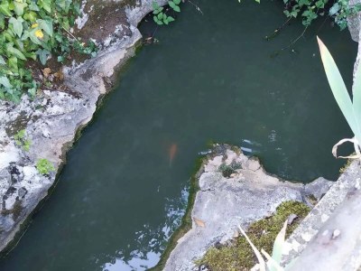 Holiday house One Bedroom Holiday Home - Outdoor photo 27