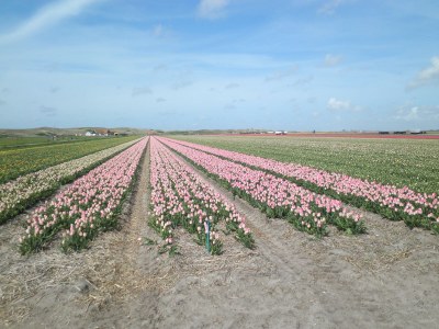 Holiday house Recreational park Garnekuul - Environment photo 23