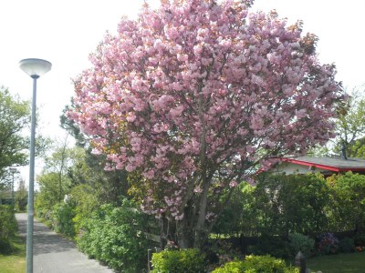 Holiday house Recreational park Garnekuul - Environment photo 24