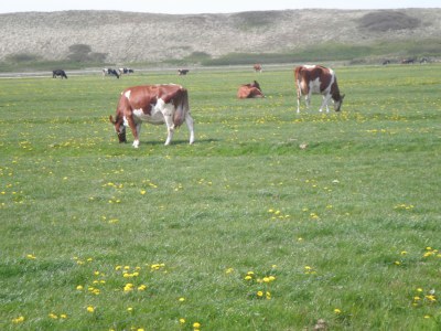 Holiday house Recreational park Garnekuul - Environment photo 25