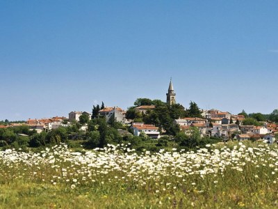 Villa Villa Istra - Four Bedroom Villa with Private Pool - Outdoor photo 9