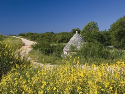 Villa Villa Istra - Four Bedroom Villa with Private Pool - Outdoor photo 11