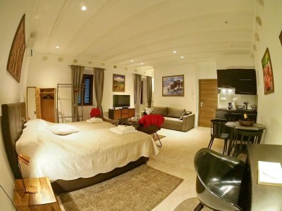 Apartment Studio Apartment (Elegant) - Features photo 12