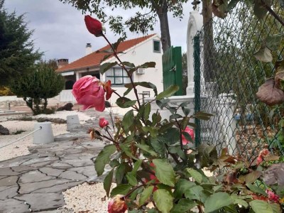 Villa Holiday Home Mystc Woods - Outdoor photo 20