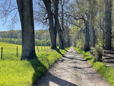 Holiday house Villa Dassel - Environment photo 30