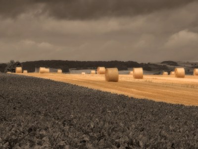 Holiday house Villa Dassel - Environment photo 33