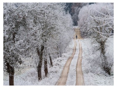 Holiday house Villa Dassel - Environment photo 35