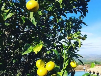 Holiday house Holiday Home in Sicily with Private Pool - Outdoor photo 35