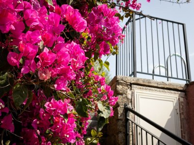 Holiday house Holiday Home in Sicily with Private Pool - Outdoor photo 39