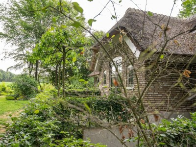 Holiday house Bauernhaus in Veluwe nahe Speulderbos - Outdoor photo 2