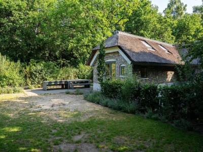 Holiday house Bauernhaus in Veluwe nahe Speulderbos - Outdoor photo 6