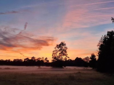 Holiday house Waldbauernhaus mit privatem Garten - Environment photo 17