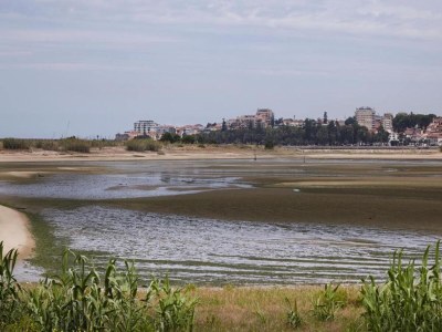 Apartment Feel Porto Bacchus Townhouse - Environment photo 38