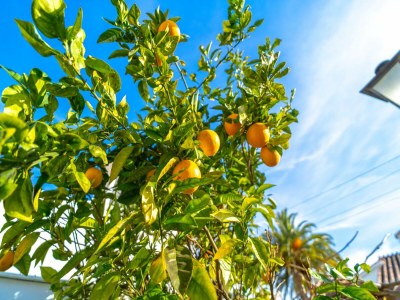 Villa Luxusvilla mit Whirlpool und Meerblick - Outdoor photo 11