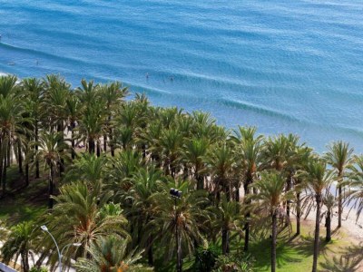 Apartment Beachfront apartment with terrace - Environment photo 35