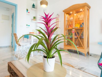 Apartment Apartment in Torremolinos by the Beach - Outdoor photo 58