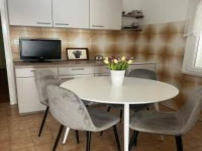 Apartment Apartments Bleuš - One Bedroom Apartment with Balcony and See View 3 - Features photo 13