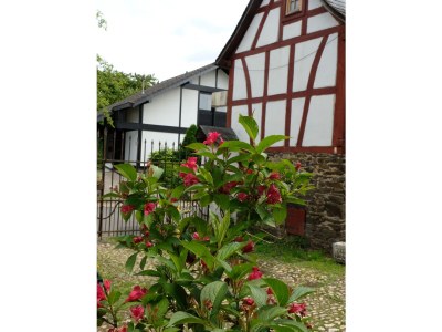 Holiday apartment Bauernhaus Fränkischer Hof - Outdoor photo 15