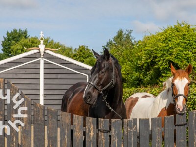 Holiday house No title - Environment photo 22