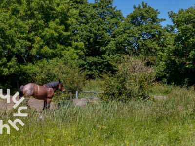 Holiday house No title - Environment photo 40
