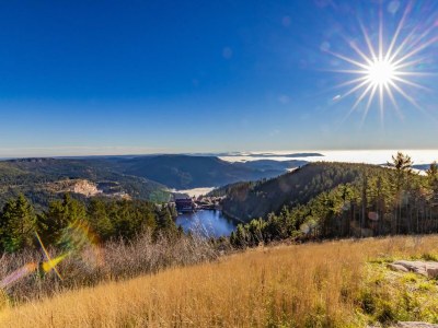 Holiday apartment Hochkopf Suite - Apartment - Modern - Schwarzwald - Environment photo 25