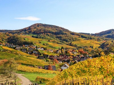 Holiday apartment Hochkopf Suite - Apartment - Modern - Schwarzwald - Environment photo 27