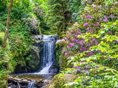 Holiday apartment Hochkopf Suite - Apartment - Modern - Schwarzwald - Environment photo 28