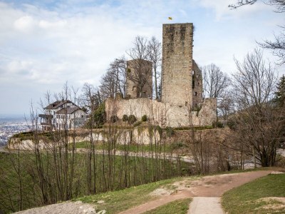 Holiday apartment Hochkopf Suite - Apartment - Modern - Schwarzwald - Environment photo 29