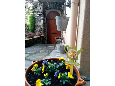 Holiday apartment Casa Longhi - Outdoor photo 10