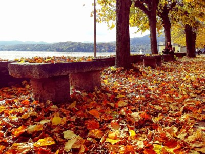 Holiday apartment Casa Longhi - Environment photo 27