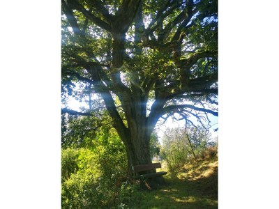 Apartment Gemütliches 2-Bett-Appartment mit Sonnenterrasse - Outdoor photo 12