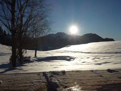 Apartment Ferienhaus Dauerstein - Outdoor photo 3