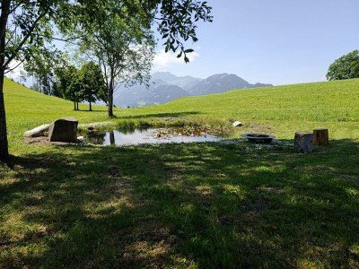 Apartment Ferienhaus Dauerstein - Outdoor photo 7