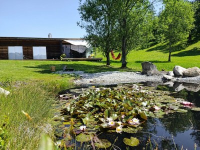 Apartment Ferienhaus Dauerstein - Outdoor photo 12