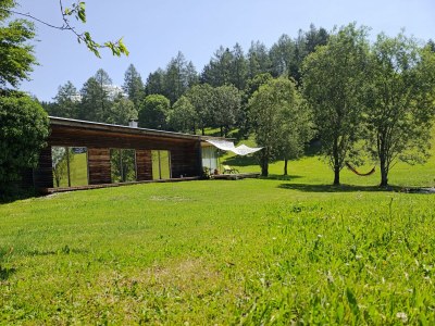 Apartment Ferienhaus Dauerstein - Outdoor photo 14