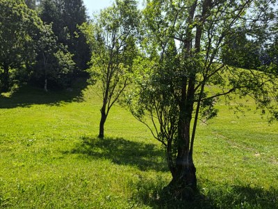 Apartment Ferienhaus Dauerstein - Outdoor photo 16