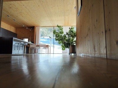 Apartment Ferienhaus Dauerstein - Features photo 40