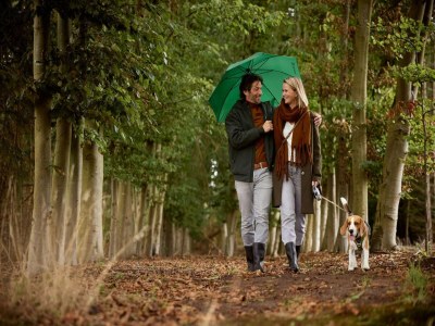 Holiday house Waterlodge in Winterswijk with Sauna & Hot Tub - Outdoor photo 6