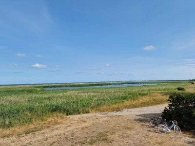 Holiday house 4 Sterne Ferienhaus in Vig - Outdoor photo 58