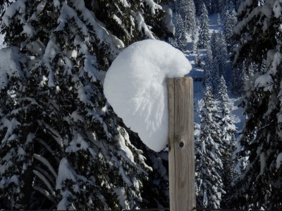 Apartment Berchtold - Outdoor photo 17