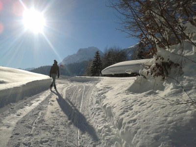 Apartment Berchtold - Outdoor photo 19