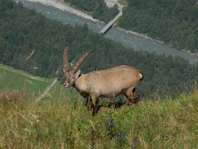 Apartment Berchtold - Environment photo 32