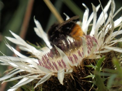 Apartment Berchtold - Environment photo 35