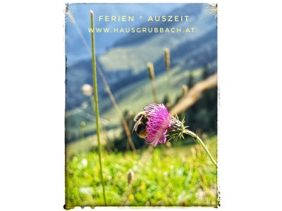 Apartment Appartement/Fewo NOAH, Dusche, WC, Terrasse - Outdoor photo 21