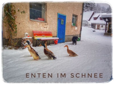 Apartment Appartement/Fewo NOAH, Dusche, WC, Terrasse - Outdoor photo 24