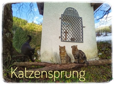 Apartment Appartement/Fewo NOAH, Dusche, WC, Terrasse - Outdoor photo 26