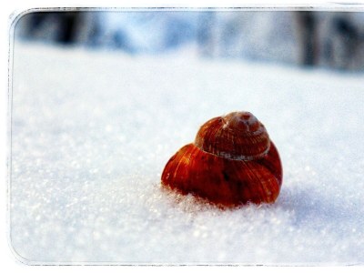 Apartment Appartement/Fewo NOAH, Dusche, WC, Terrasse - Outdoor photo 30