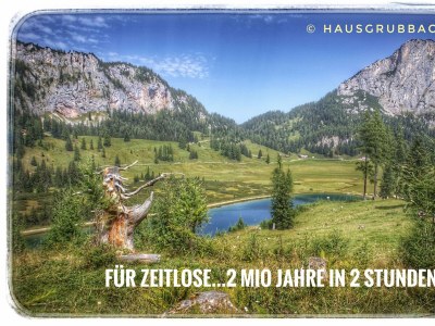 Apartment Appartement/Fewo NOAH, Dusche, WC, Terrasse - Outdoor photo 33