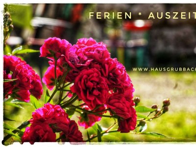 Apartment Appartement/Fewo NOAH, Dusche, WC, Terrasse - Outdoor photo 42