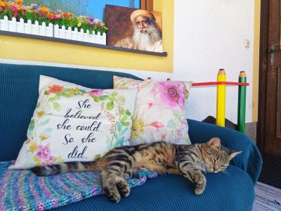 Apartment Appartement/Fewo NOAH, Dusche, WC, Terrasse - Outdoor photo 48